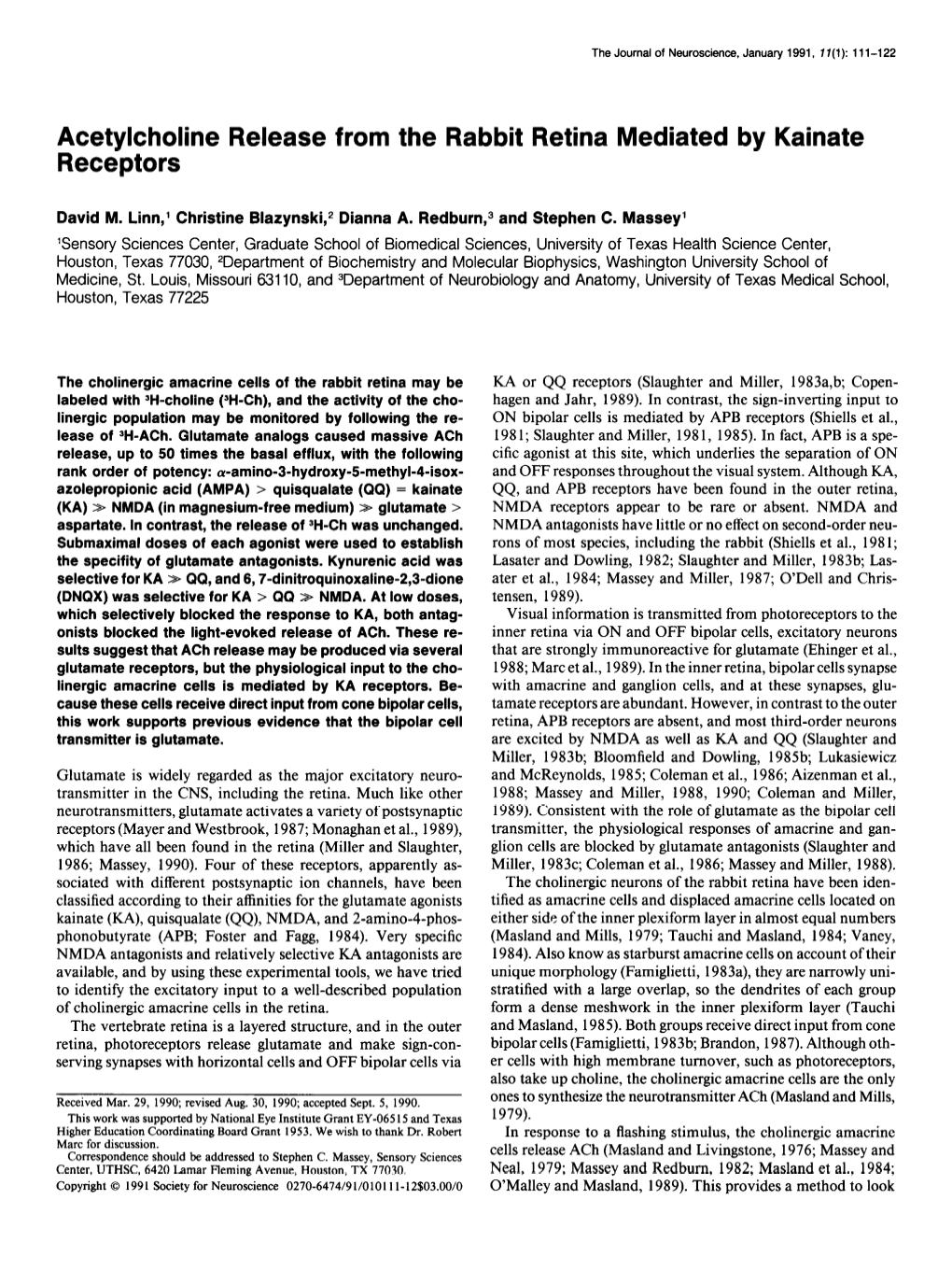 Acetylcholine Release from the Rabbit Retina Mediated by Kainate Receptors