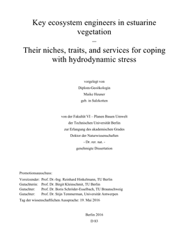 Key Ecosystem Engineers in Estuarine Vegetation – Their Niches, Traits, and Services for Coping with Hydrodynamic Stress