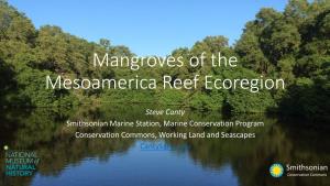 Mangroves of the Mesoamerica Reef Ecoregion