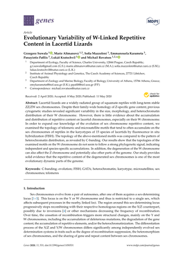 Evolutionary Variability of W-Linked Repetitive Content in Lacertid Lizards