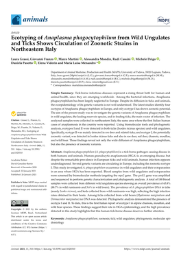 Ecotyping of Anaplasma Phagocytophilum from Wild Ungulates and Ticks Shows Circulation of Zoonotic Strains in Northeastern Italy