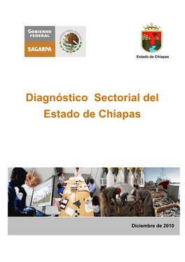 Diagnóstico Sectorial Del Estado De Chiapas