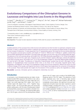 Evolutionary Comparisons of the Chloroplast Genome in Lauraceae and Insights Into Loss Events in the Magnoliids