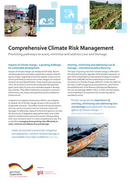 Comprehensive Climate Risk Management Promising Pathways to Avert, Minimise and Address Loss and Damage