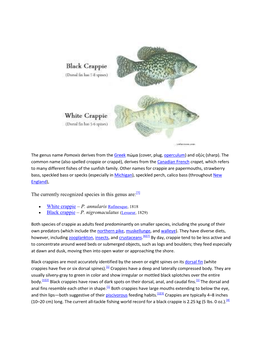 The Currently Recognized Species in This Genus Are: White Crappie – P