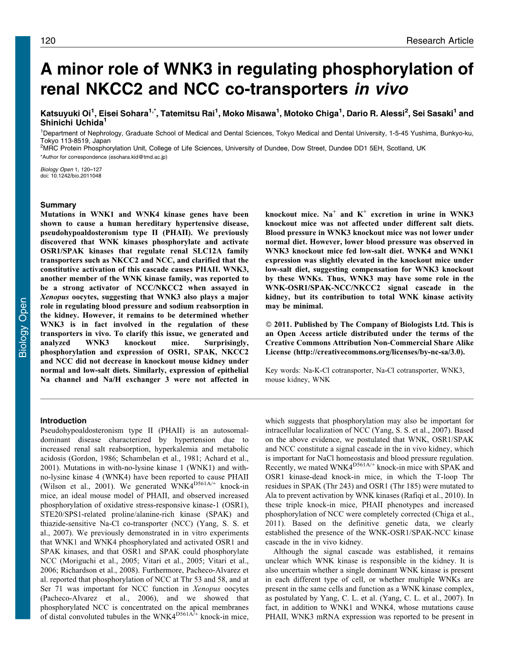 A Minor Role of WNK3 in Regulating Phosphorylation of Renal NKCC2 and NCC Co-Transporters in Vivo