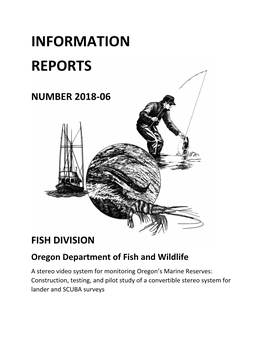 Information Report Number 2018-06