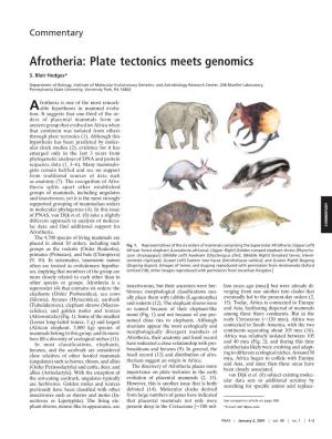 Afrotheria: Plate Tectonics Meets Genomics