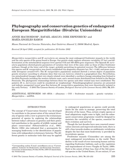 Phylogeography and Conservation Genetics of Endangered European Margaritiferidae (Bivalvia: Unionoidea)
