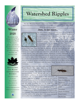 Watershed Ripples-Winter 2020