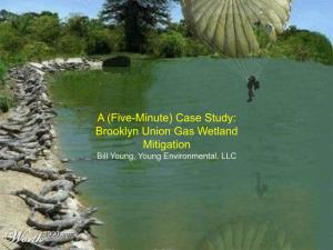 A (Five-Minute) Case Study: Brooklyn Union Gas Wetland Mitigation Bill Young, Young Environmental, LLC
