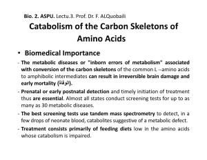 Catabolism of the Carbon Skeletons of Amino Acids