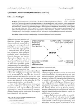 Spiders in a Hostile World (Arachnoidea, Araneae)