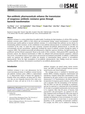 Non-Antibiotic Pharmaceuticals Enhance the Transmission of Exogenous Antibiotic Resistance Genes Through Bacterial Transformation