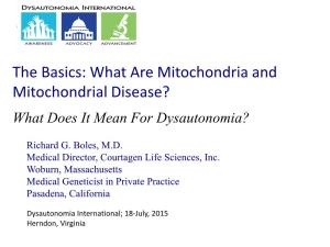 What Are Mitochondria and Mitochondrial Disease? What Does It Mean for Dysautonomia?