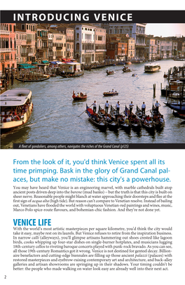 Introducing Venice