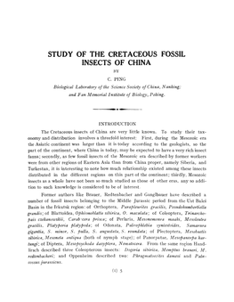 Study of the Cretaceous Fossil Insects of China By