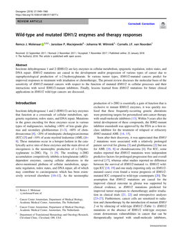 Wild-Type and Mutated IDH1/2 Enzymes and Therapy Responses