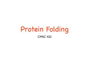 Protein Folding CMSC 423 Proteins