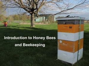 Introduction to Honey Bees and Beekeeping What Aren’T Honey Bees