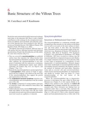 Basic Structure of the Villous Trees