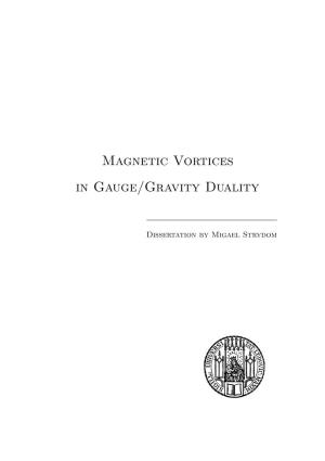 Magnetic Vortices in Gauge/Gravity Duality