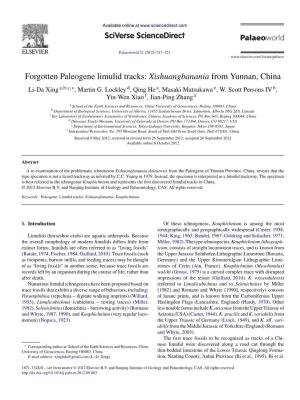 Forgotten Paleogene Limulid Tracks: Xishuangbanania from Yunnan, China