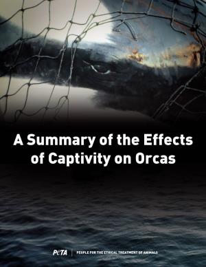 A Summary of the Effects of Captivity on Orcas