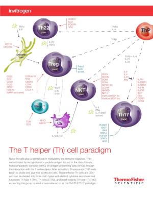 Cell Paradigm