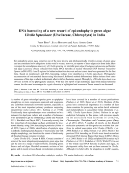 DNA Barcoding of a New Record of Epi-Endophytic Green Algae Ulvella Leptochaete (Ulvellaceae, Chlorophyta) in India