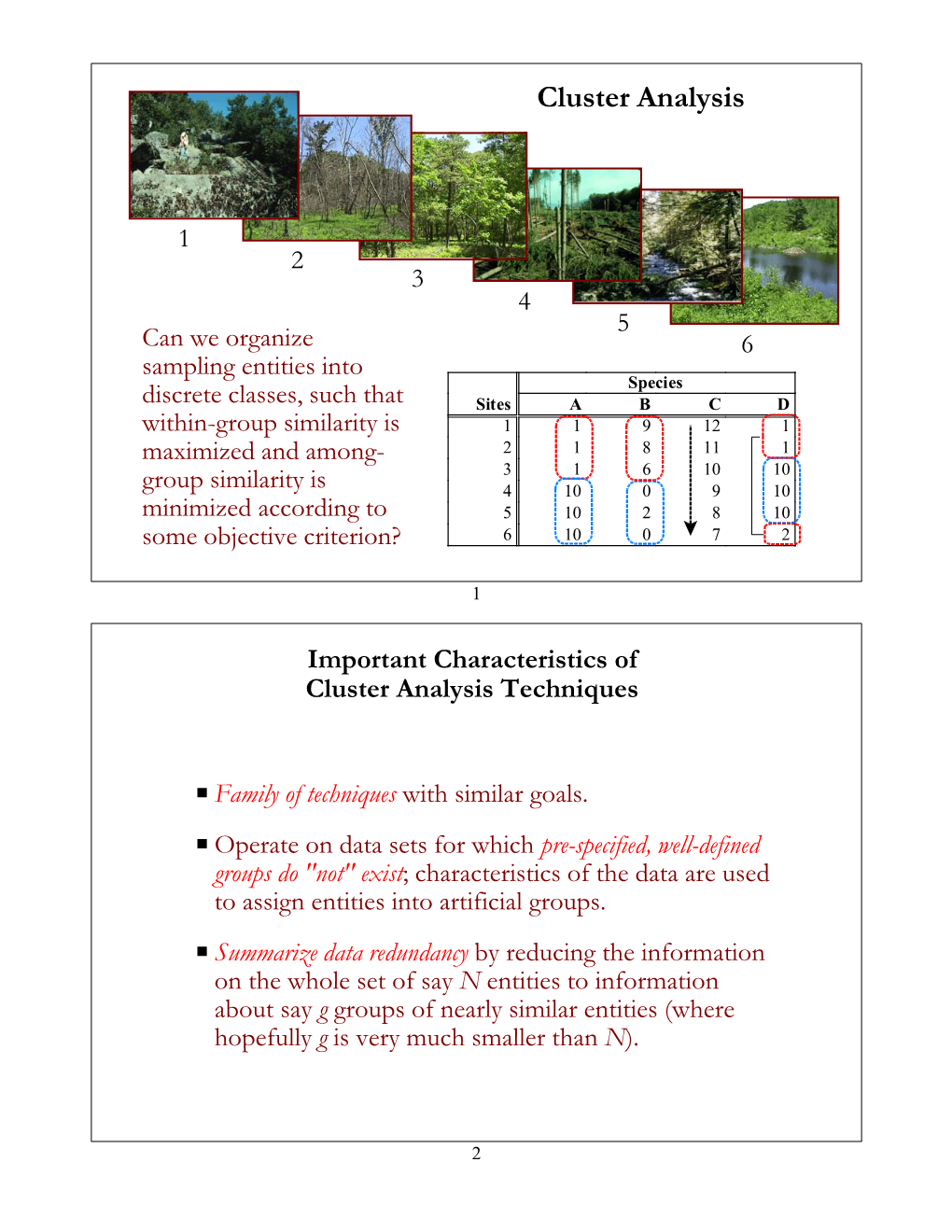 Cluster Analysis