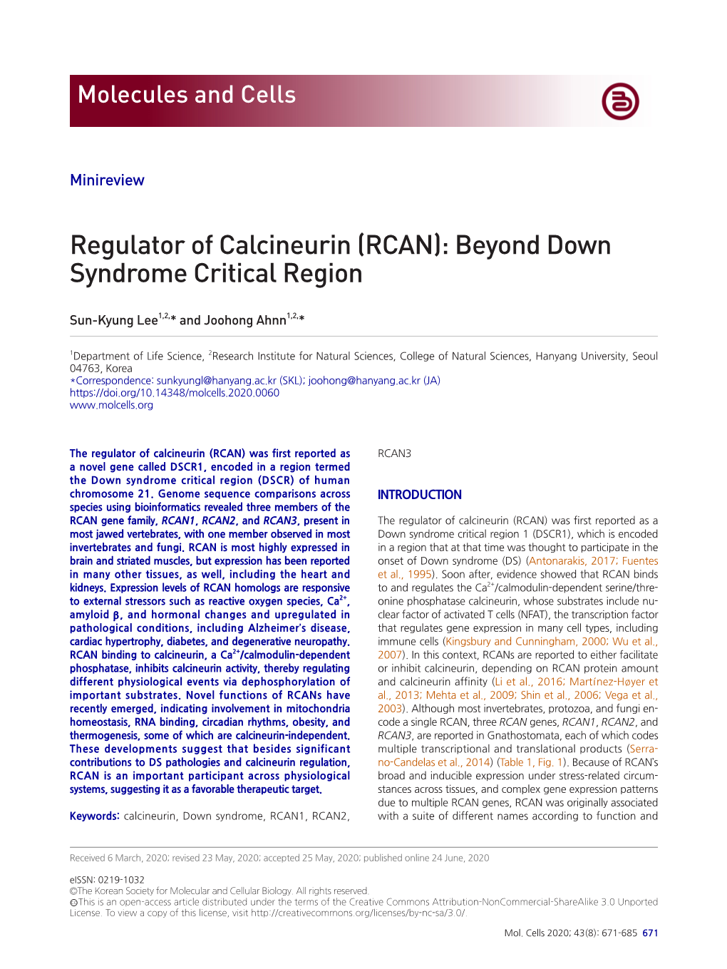 Regulator of Calcineurin (RCAN): Beyond Down