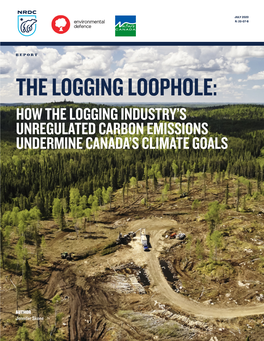 How the Logging Industry's Unregulated