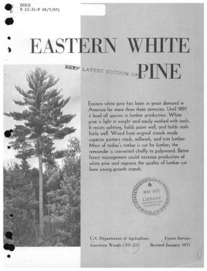 Eastern White Pine (Pinus Strobus
