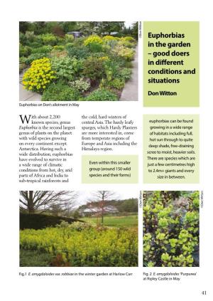 Euphorbias in the Garden – Good Doers in Different Conditions and Situations Don Witton