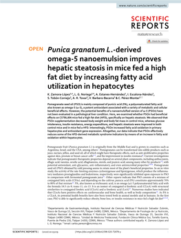 Derived Omega-5 Nanoemulsion Improves Hepatic Steatosis