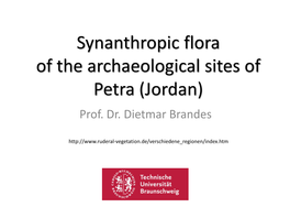 Synanthropic Flora of Petra (Jordan)