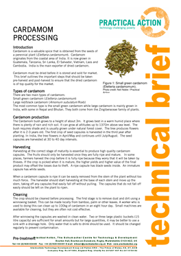 Cardamom Processing Processing