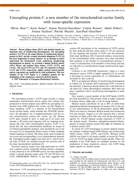 Uncoupling Protein-3: a New Member of the Mitochondrial Carrier Family with Tissue-Specific Expression