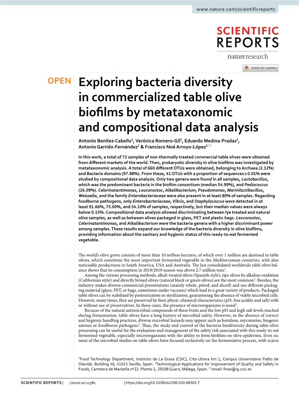 Exploring Bacteria Diversity in Commercialized Table Olive Biofilms