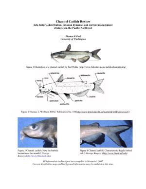 Channel Catfish Review Life-History, Distribution, Invasion Dynamics and Current Management Strategies in the Pacific Northwest