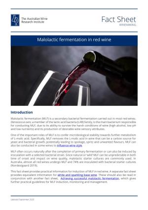 Malolactic Fermentation in Red Wine