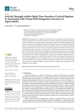 Activity Strength Within Optic Flow-Sensitive Cortical Regions Is Associated with Visual Path Integration Accuracy in Aged Adults