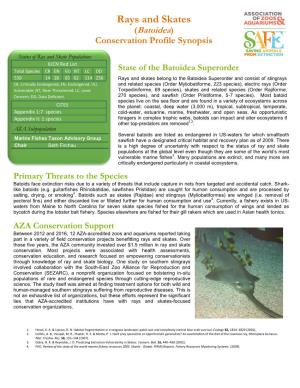 Rays and Skates (Batoidea) Conservation Profile Synopsis