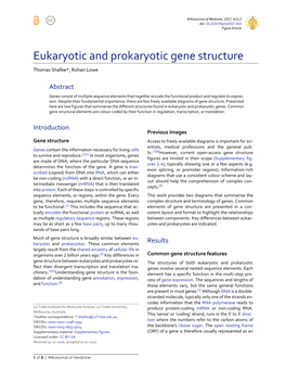 Eukaryotic and Prokaryotic Gene Structure Thomas Shafee*, Rohan Lowe