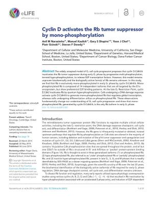 Cyclin D Activates the Rb Tumor Suppressor by Mono-Phosphorylation