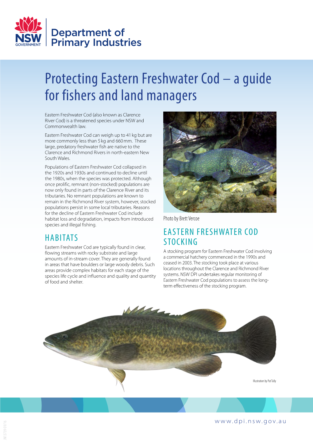 Protecting Eastern Freshwater Cod –Aguide of Food Andshelter