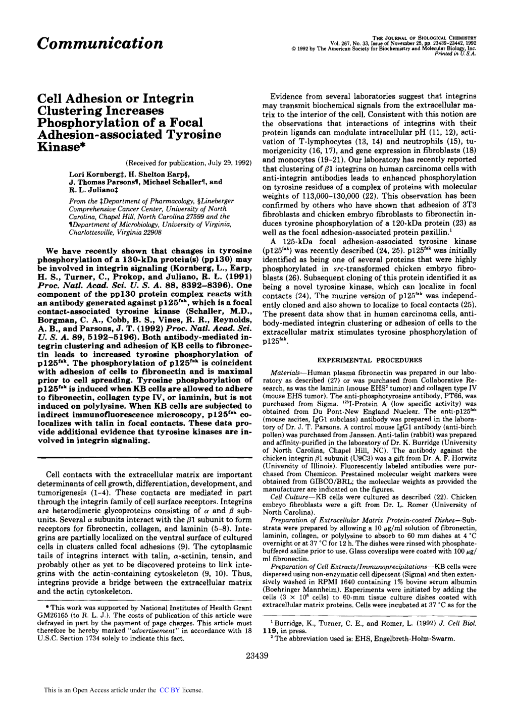 Cell Adhesion Or Integrin Clustering Increases Phosphorylation of A