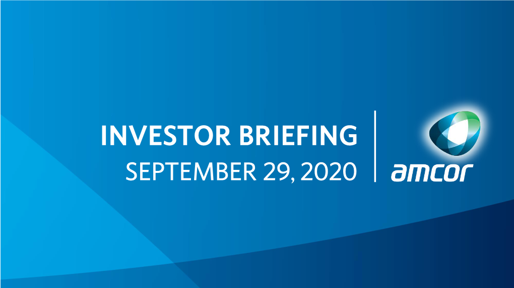 Investor Briefing 2020