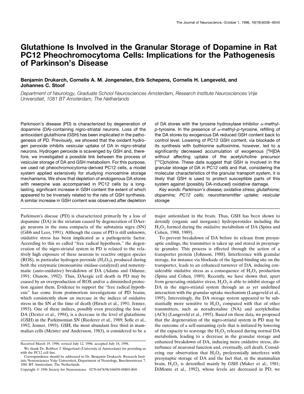 Glutathione Is Involved in the Granular Storage of Dopamine in Rat PC12 Pheochromocytoma Cells: Implications for the Pathogenesis of Parkinson’S Disease